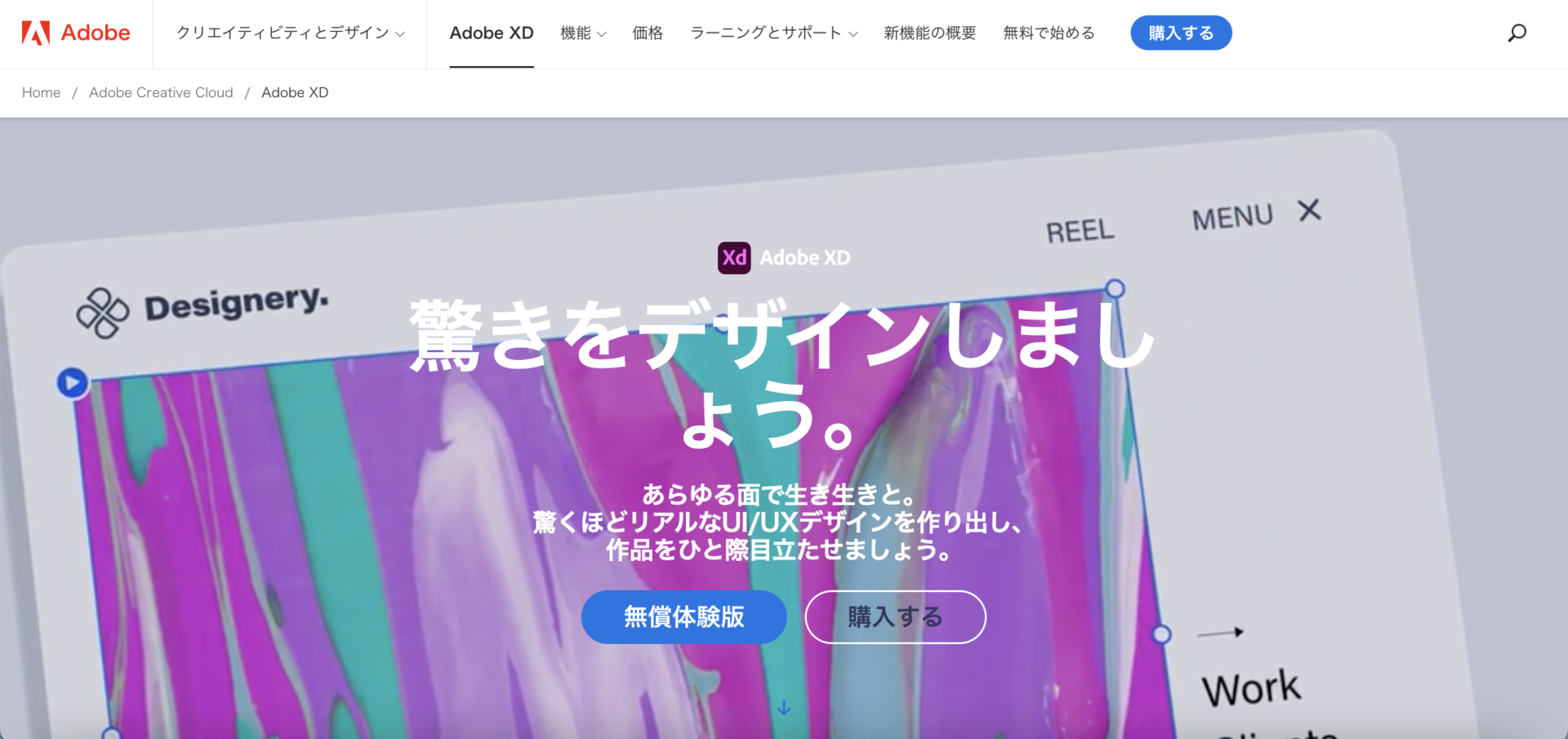 Adobe XD